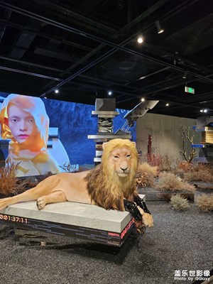 【我眼前的世界】+世界的色彩