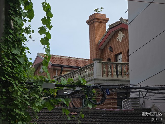 #十月中的小美好——馬路