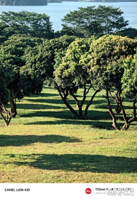 【我眼前的世界】聽誰唱？