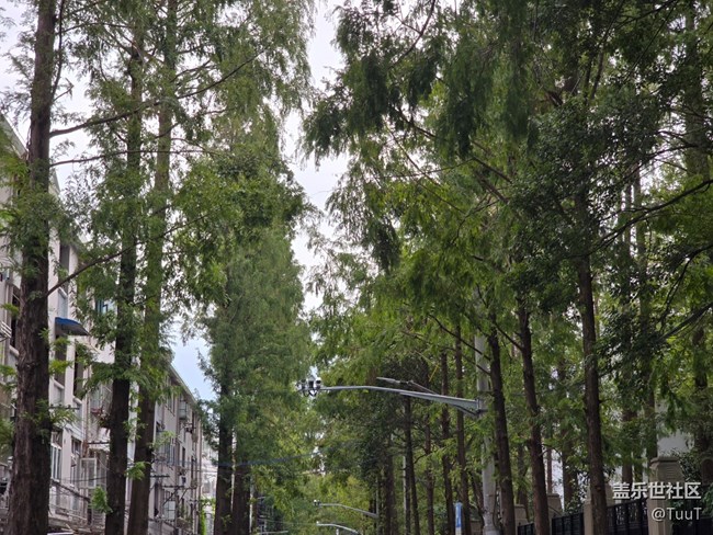 #十月中的小美好——馬路