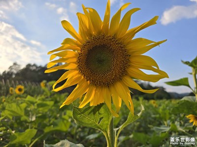 【我眼前的世界】+天是藍(lán)色的心也是藍(lán)色的