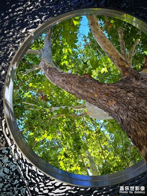 【我眼前的世界】+秋日風(fēng)情