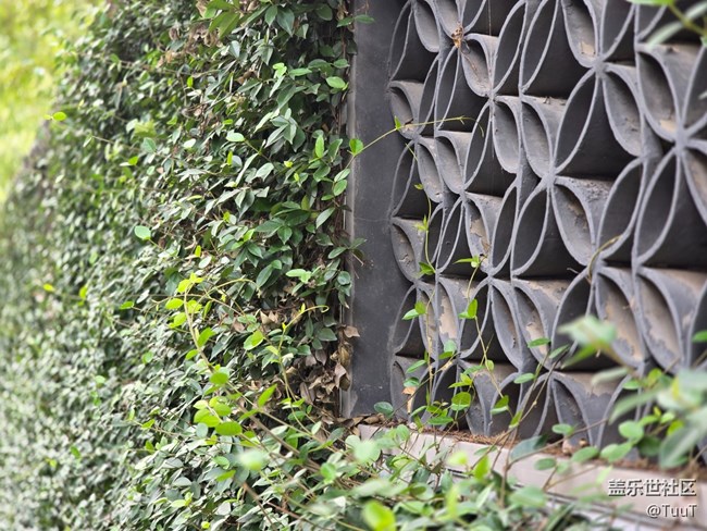 #十月中的小美好——馬路