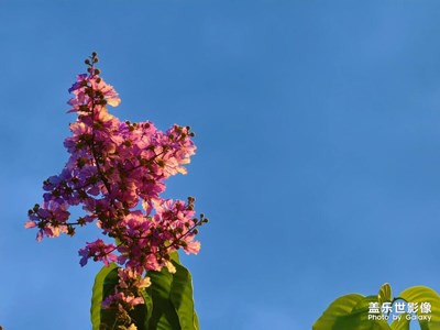 【我眼前的世界】美好植物世界