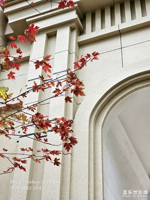 霜葉紅于二月花…………