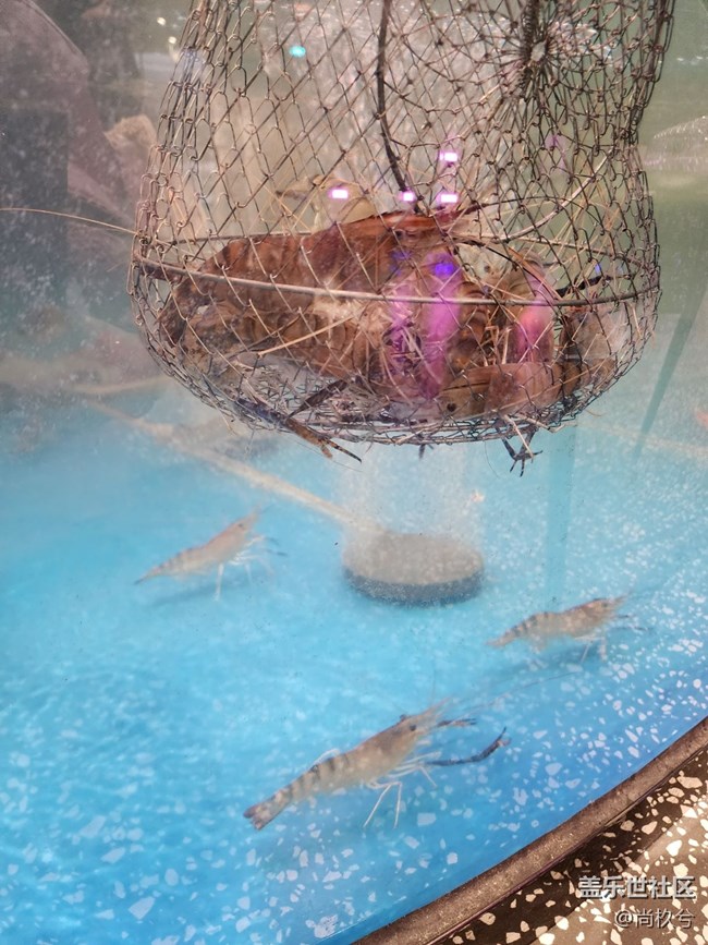 三星釣蝦活動體驗(yàn)分享 三星釣蝦活動體驗(yàn)分享