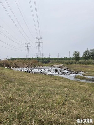 【我眼前的世界】+上班路上的風(fēng)景