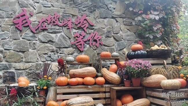 【金秋色彩】秋天的美 【金秋色彩】秋天的美