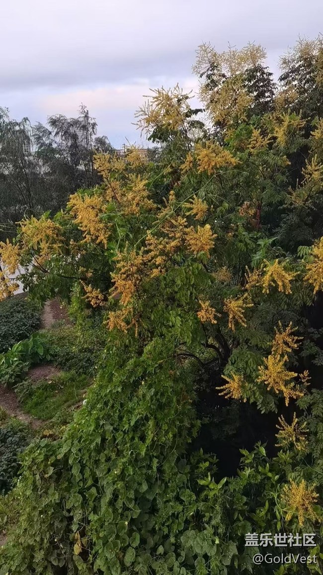 【金秋色彩】秋天的美 【金秋色彩】秋天的美