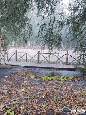 我眼前的世界 初秋的清晨