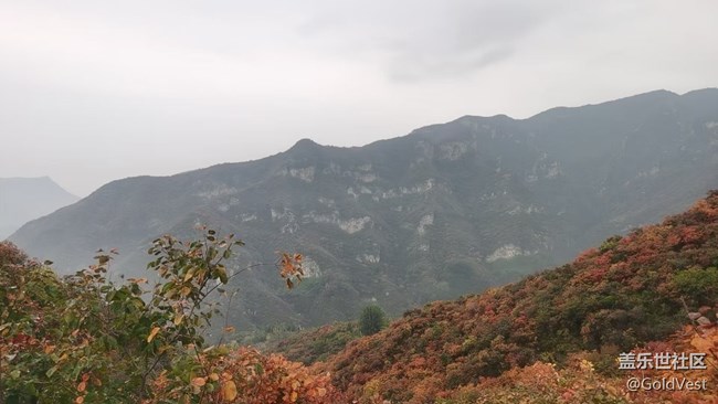 【金秋色彩】秋天的美 【金秋色彩】秋天的美