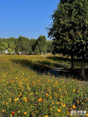 【我眼前的世界】黃燦燦