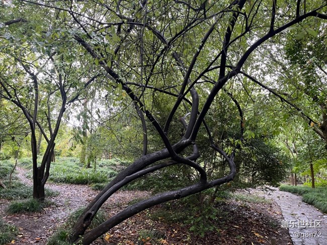 【上海植物園線下攝影活動】+上海植物園打卡攝影回顧