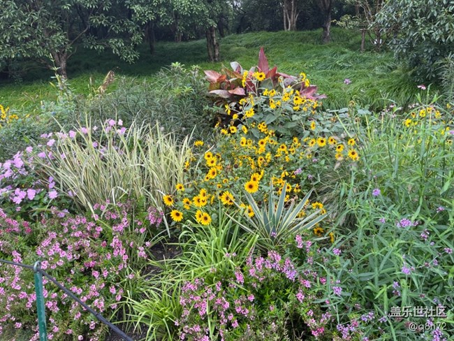 【上海植物園線下攝影活動】+上海植物園打卡攝影回顧