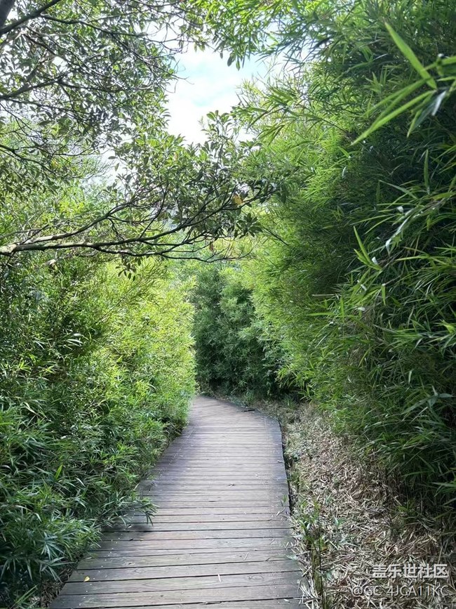 【Galaxy影像】自然的律動(dòng)+ 秋季爬山