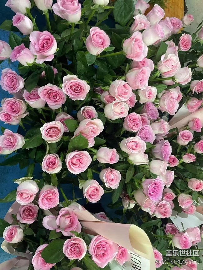 【Galaxy影像】自然的律動(dòng)+ 昆明的浪漫