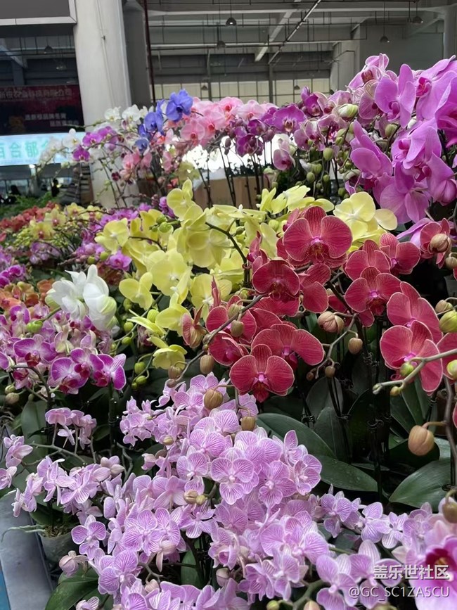 【Galaxy影像】自然的律動(dòng)+ 昆明的浪漫