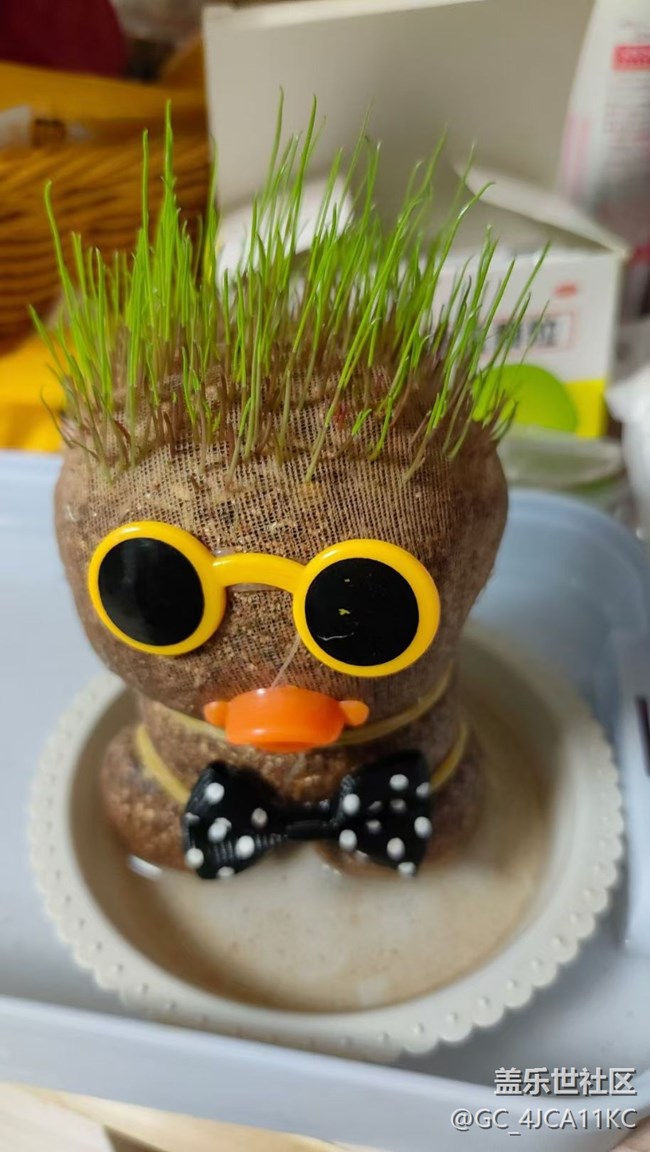 【最美秋色醉人心】草娃娃