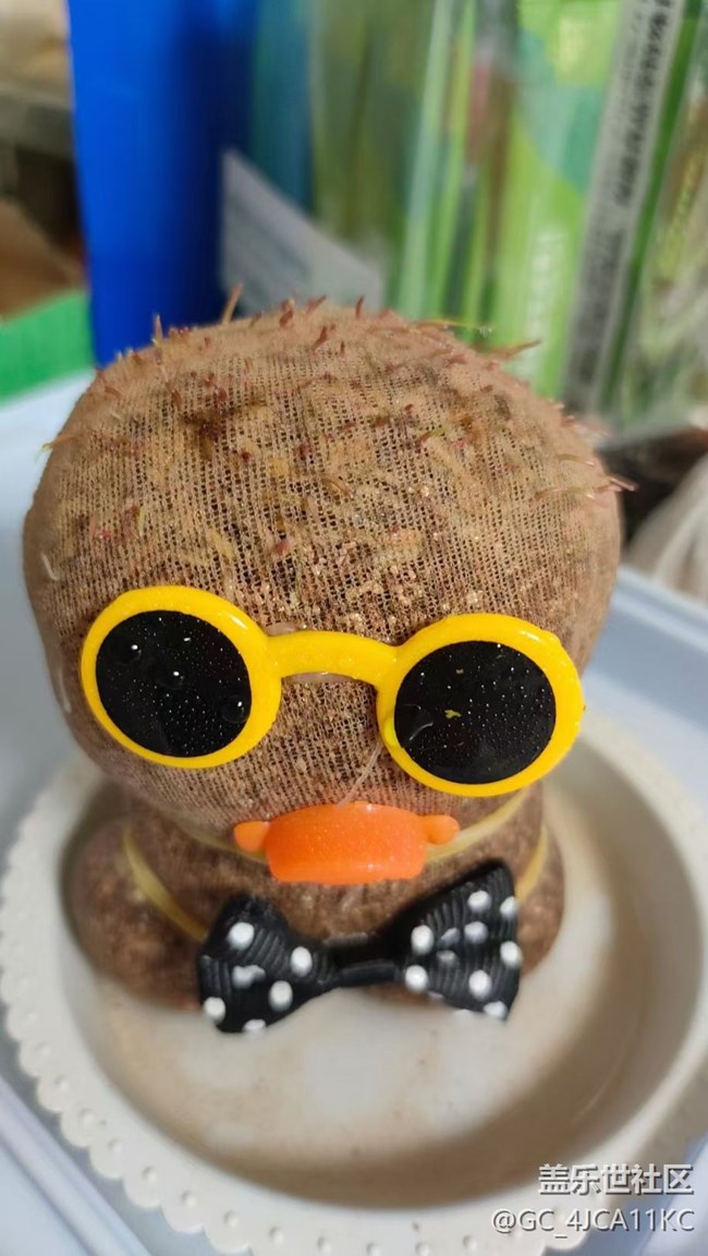 【最美秋色醉人心】草娃娃