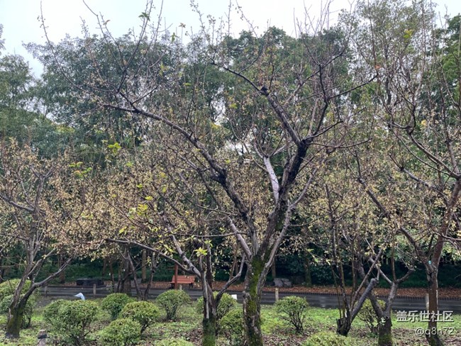 【上海植物園線下攝影活動】+上海植物園打卡攝影回顧