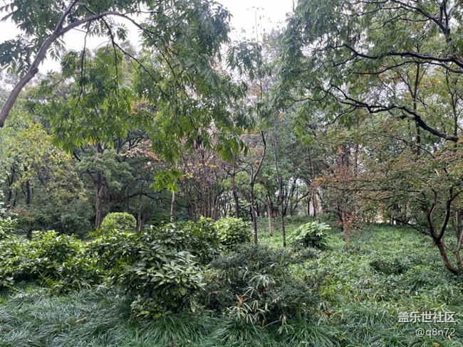 【上海植物園線下攝影活動】+上海植物園打卡攝影回顧