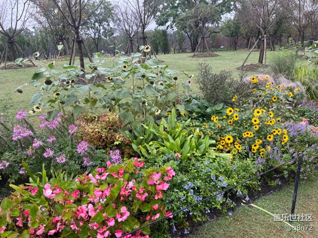 【上海植物園線下攝影活動】+上海植物園打卡攝影回顧