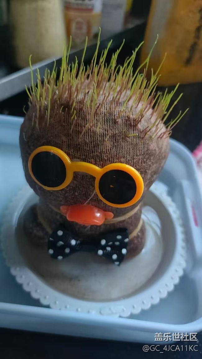 【最美秋色醉人心】草娃娃