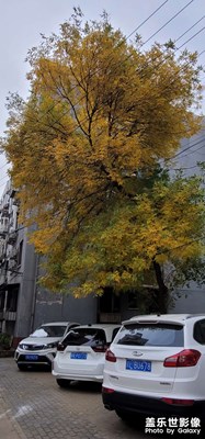 【我眼前的世界】+隨手拍