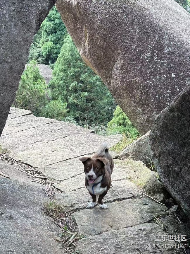 【Galaxy影像】自然的律動(dòng)+ 秋季爬山