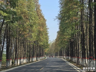 江西南昌塔城鄉(xiāng)公路