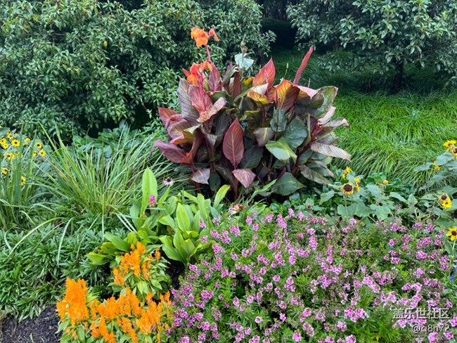 【上海植物園線下攝影活動】+上海植物園打卡攝影回顧