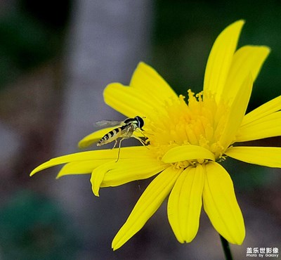 【我眼前的世界】+多彩的世界