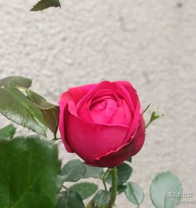 【最美秋色醉人心】秋末