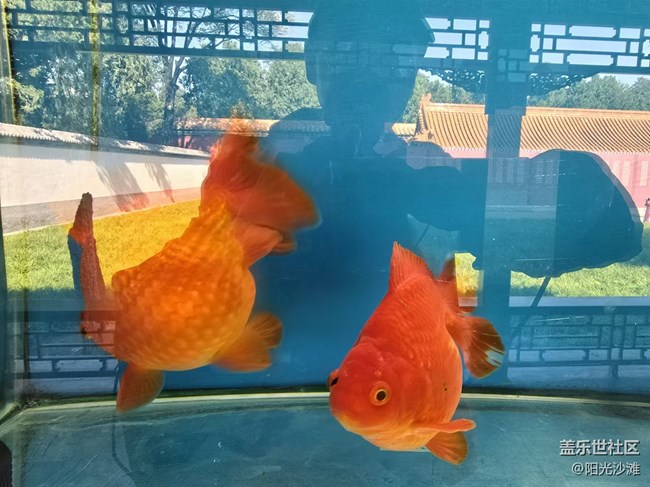 【我和我的祖國】色彩斑斕 千姿百態(tài)