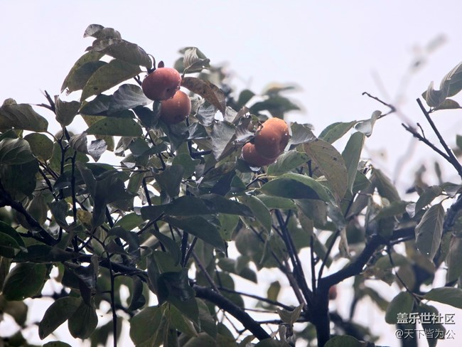 【上海植物園線(xiàn)下攝影活動(dòng)】+活動(dòng)回顧
