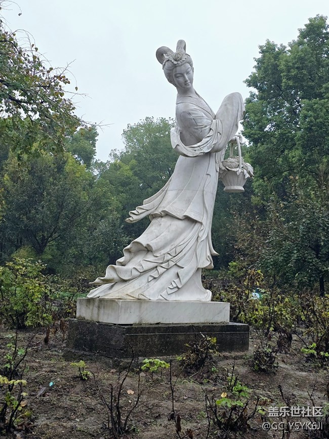 【上海植物園線下攝影活動(dòng)】+植物園里閑逛