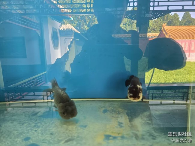 【我和我的祖國】色彩斑斕 千姿百態(tài)