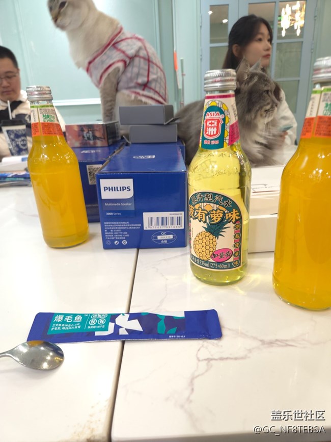 三星星部落貓咖狗咖羊駝擼啊擼