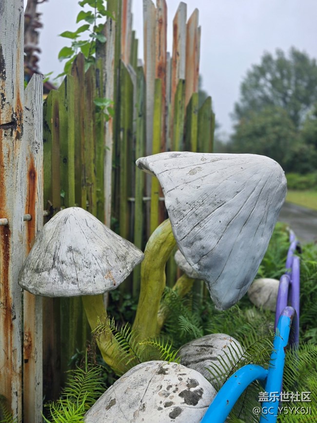 【上海植物園線下攝影活動(dòng)】+植物園里閑逛