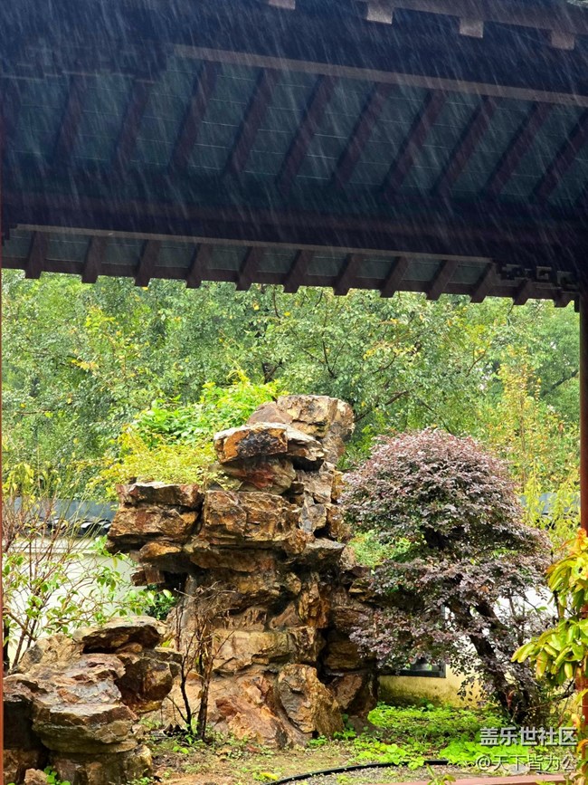 【上海植物園線(xiàn)下攝影活動(dòng)】+活動(dòng)回顧
