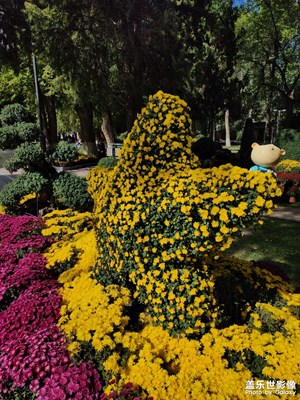 【我眼前的世界】秋菊