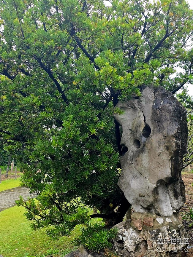 【上海植物園線(xiàn)下攝影活動(dòng)】+活動(dòng)回顧