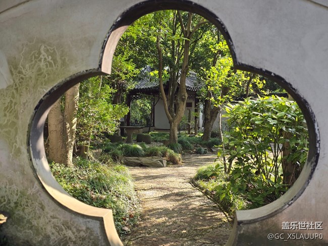 #十月中的小美好——彼岸花