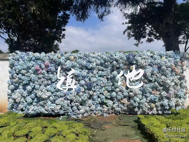 【Galaxy影像】自然的律動(dòng)+ 滇池