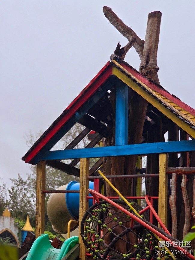 【上海植物園線下攝影活動(dòng)】+植物園里閑逛