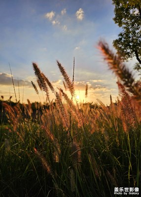 【我眼前的世界】+夕陽西下