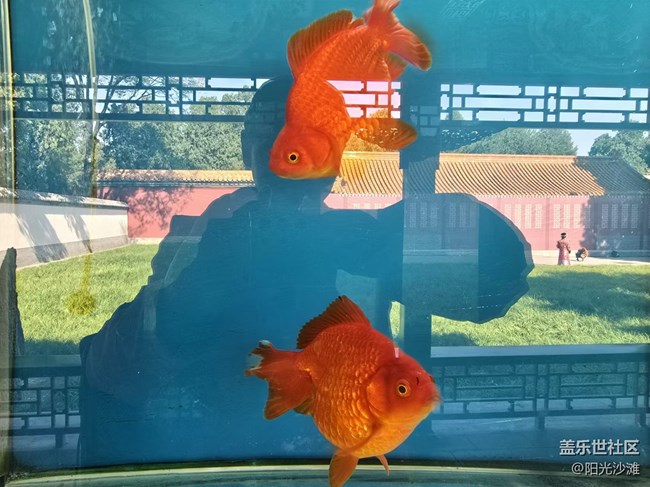 【我和我的祖國】色彩斑斕 千姿百態(tài)