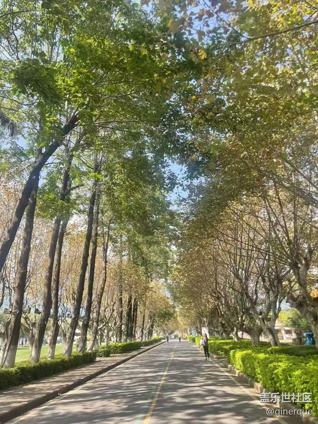 【Galaxy影像】自然的律動(dòng)+ 滇池