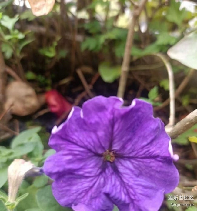 【最美秋色醉人心】秋末