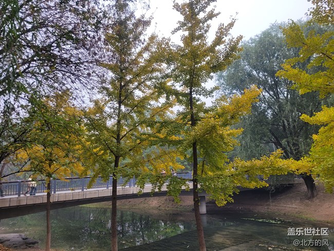 【奧森北園】+用三星手機(jī)留下北國的秋